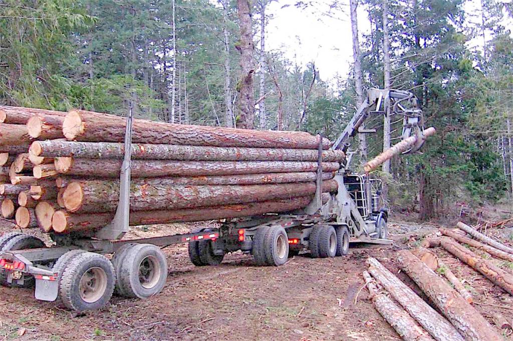 Truck loggers feeling the effects of a lagging B.C. forest industry, critic says