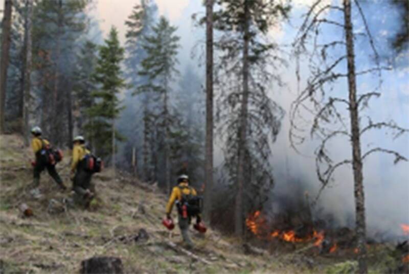 7-hectare prescribed burn to take place in Westbank